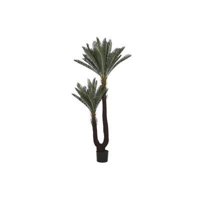 Decoratieve plant Home ESPRIT Polyethyleen Tropisch 80 x 80 x 170 cm Decoratieve plant Home ESPRIT Polyethyleen Tropisch 80 x 80 x 170 cm