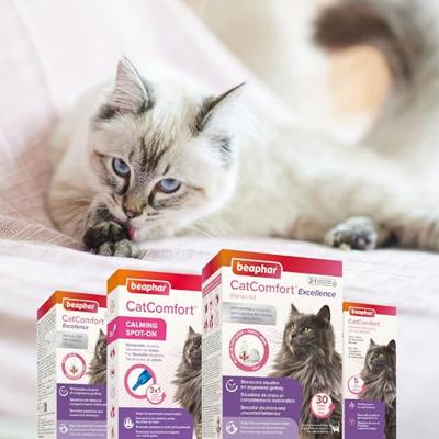 Beaphar CatComfort No Stress Spot On voor de kat 2 x 3 pipetten Beaphar CatComfort No Stress Spot On voor de kat 2 x 3 pipetten
