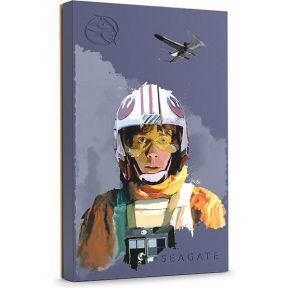 Seagate Game Drive Luke Skywalker© Special Edition FireCuda externe harde schijf 2000 GB Zwart