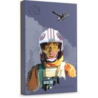 Seagate Game Drive Luke Skywalker© Special Edition FireCuda externe harde schijf 2000 GB Zwart - thumbnail
