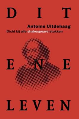 Dit ene leven (Paperback) Dit ene leven (Paperback)