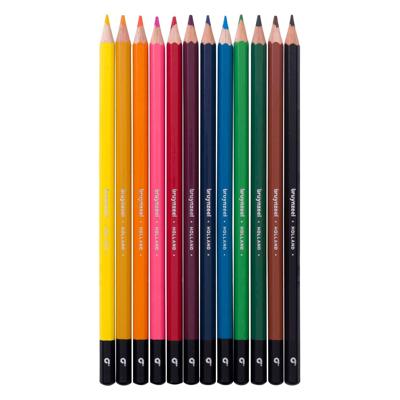 BRUYNZEEL kleurpotloden blik, 12 kleuren BRUYNZEEL kleurpotloden blik, 12 kleuren