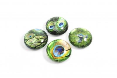 Trendform Magnet Eye - Pauw - set van 4 verschillende