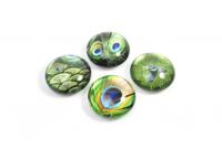 Trendform Magnet Eye - Pauw - set van 4 verschillende - thumbnail