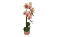Decostar Phalaenopsis kunstplant 45 cm veelkleurig - thumbnail