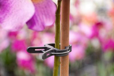 Plantenclip dia. 18mm set a 5 stuks Nature - Nature