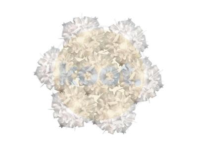 Slamp - Veli 7 Hanglamp