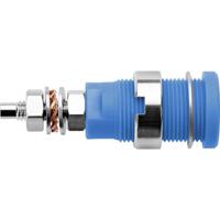 Schützinger DI SEB 6446 Ni / BL Veiligheids-inbouwbus Blauw 1 stuk(s) - thumbnail