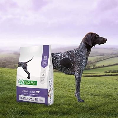 NATURE'S PROTECTION Adult Lamb - droog hondenvoer - 12kg