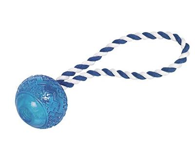 Nobby TPR bal met touw blauw 26cm