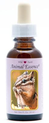 Animal Essences Chipmunk (gestreepte eekhoorn) 30 Milliliter Animal Essences Chipmunk (gestreepte eekhoorn) 30 Milliliter