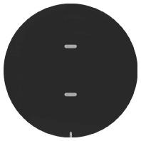 Berker afdekking 1V tbv tastsensor R1-R3 zwart 75161865 - thumbnail