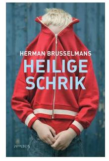 Heilige schrik - Herman Brusselmans - ebook