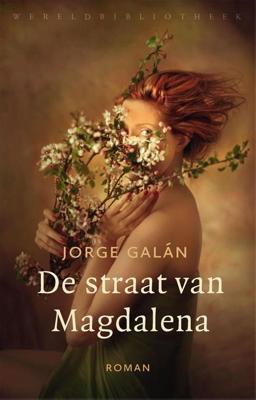 De straat van Magdalena - Jorge Galán - ebook