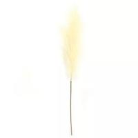 Pampas Gras 60 cm Licht geel kunstplant Buitengewoon de Boet - Buitengewoon de boet - thumbnail