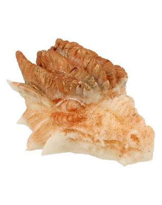 Kristallen Draken Schedel Goud/Wit Orgoniet - 10 cm