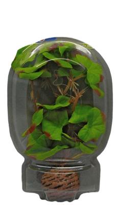 Easy Plant Laag 13 Cm Nr. 1 aquaria Superfish - Superfish Easy Plant Laag 13 Cm Nr. 1 aquaria Superfish - Superfish