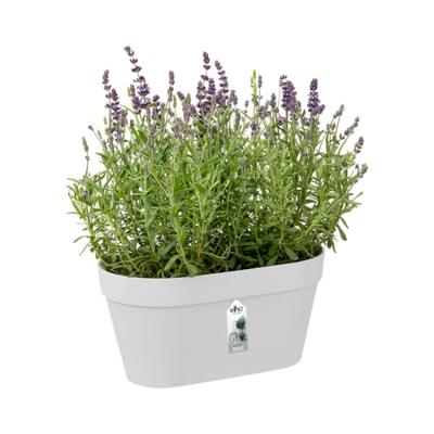 Elho loft urban wall duo wandbak 28 cm wit