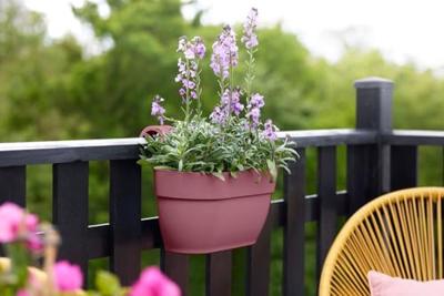 Elho Vibia Campana Medium Hangpot Roze