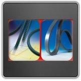 Conti V-snaar spa882 - thumbnail