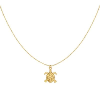 Gouden ketting met schildpad