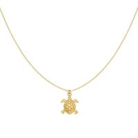 Gouden ketting met schildpad - thumbnail