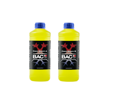 BAC BAC Cocos Bloei A+B