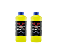 BAC BAC Cocos Bloei A+B - thumbnail