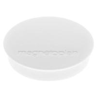 magnetoplan Magneet Discofix Standard (Ø x h) 30 mm x 8 mm Rond Wit 10 stuk(s) 1664200 - thumbnail