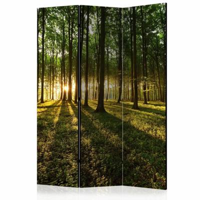 Vouwscherm / Kamerscherm - Ochtend in het bos 135x172cm , gemonteerd geleverd dubbelzijdig geprint