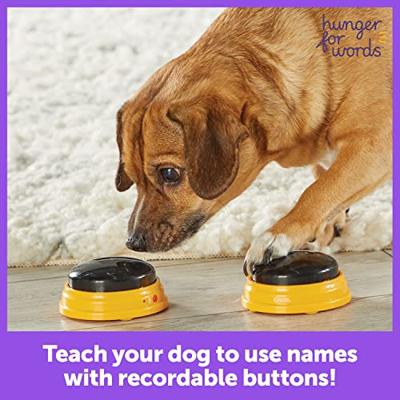Hunger For Words talking pet next words names hond