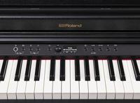 Roland RP701-CB - thumbnail