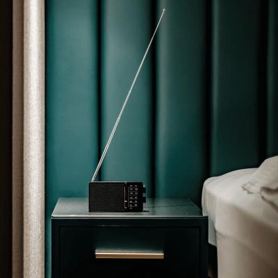Radio Sangean SR36B NEGRO Zwart