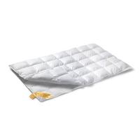 Vandyck Astro 90 duo donzen dekbed - thumbnail