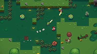 Blazing Beaks Blazing Beaks