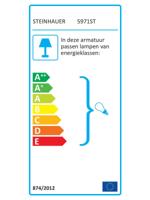 Steinhauer - Pimpernel - hanglamp 2 lichts - staal - thumbnail