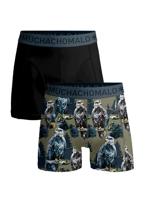 Boys 2-pack shorts Mongolian - thumbnail