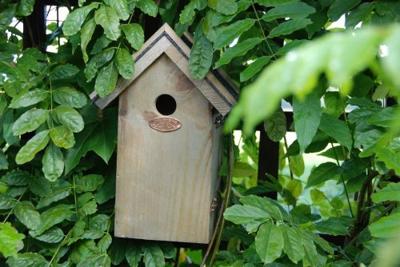Esschert Design Nestkast pimpelmees