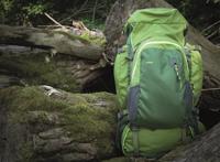 DÖRR Rugzak Outdoor Pro 65 + Pro 15 65 l (b x h x d) 350 x 750 x 250 mm Groen 464016 - thumbnail