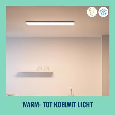 WiZ PlafonnièrePanel wit - 36W - 929003227101