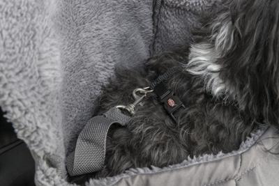 Huisdierenrugzak Trixie Molly Grijs 25 × 38 × 17 CM