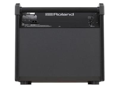 Roland PM-200