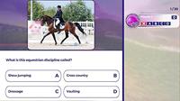 Equestrian Training - thumbnail