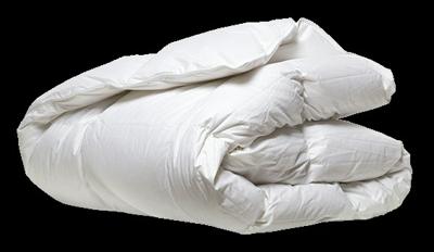 Good Morning Donzen dekbed, 60% dons, 40% veren - 240x220 cm