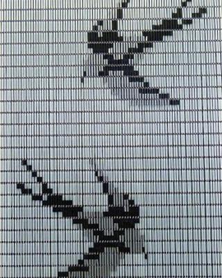 Vliegengordijn Hulzen Zwaluwen transparant - 90cm x 210cm Vliegengordijn Hulzen Zwaluwen transparant - 90cm x 210cm