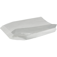 Zak | Vensterzak | Papier | 16/ 4x28cm | wit | 500 stuks - thumbnail