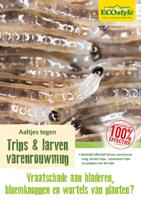 Ecostyle Aaltjes tegen varenrouwmug 50-100 planten - thumbnail
