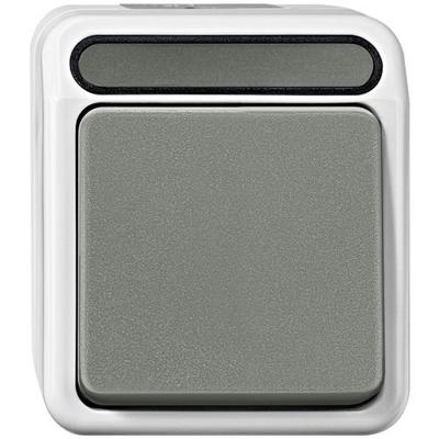 Merten Schakelaar 2-polig opbouw wd ip44