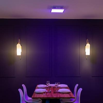 OSRAM Smart+ LED-paneel LED vast ingebouwd 20 W Warmwit tot daglichtwit, RGB