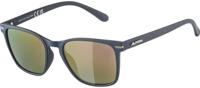 Alpina Yefe Polarized - Sunglasses - thumbnail